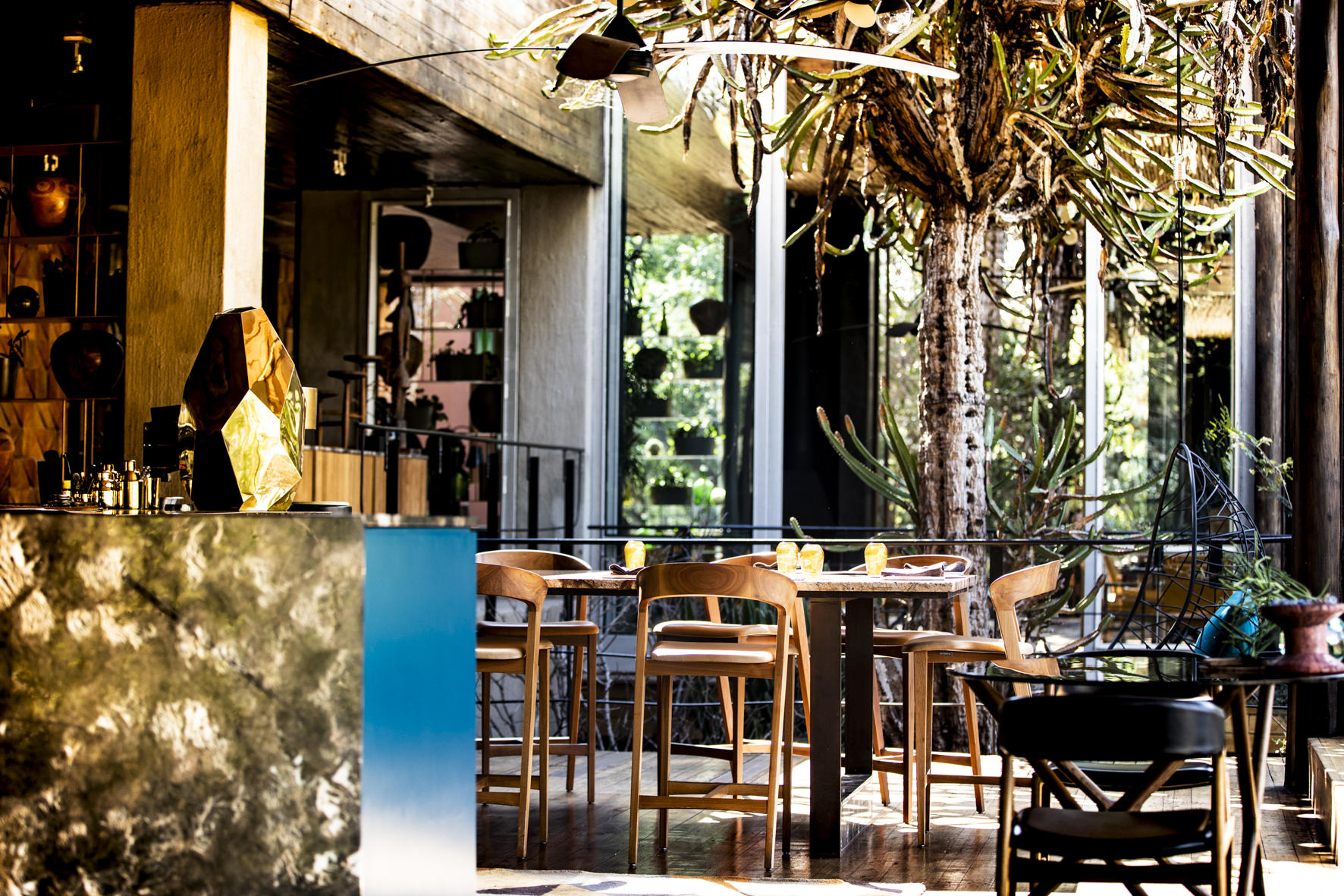 Singita Sweni Lodge thumbnail 2